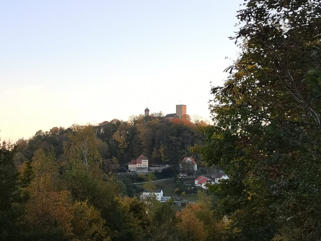 Ausblick auf Burg Falkenstein